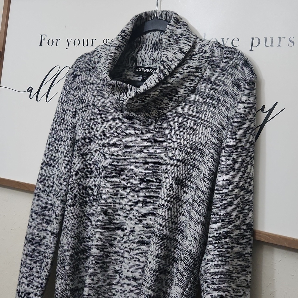 Express 100%Cotton Sweater Size Small Contemporary Collegiate Casual Mens - Picture 2 of 12